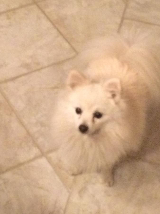 Апартаменты Apartment Subotin Херцег-Нови-26