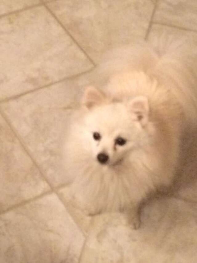 Апартаменты Apartment Subotin Херцег-Нови-25